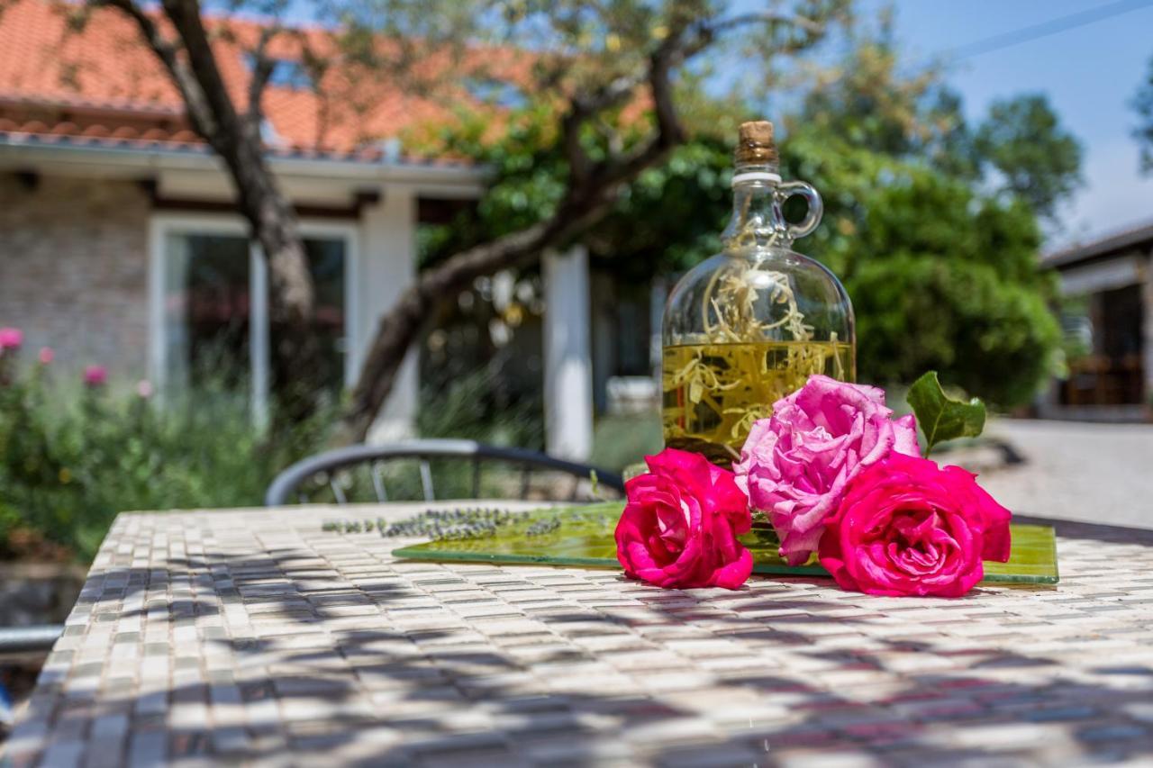 Molnar Resort Apartment Ljiljana Brzac Dış mekan fotoğraf